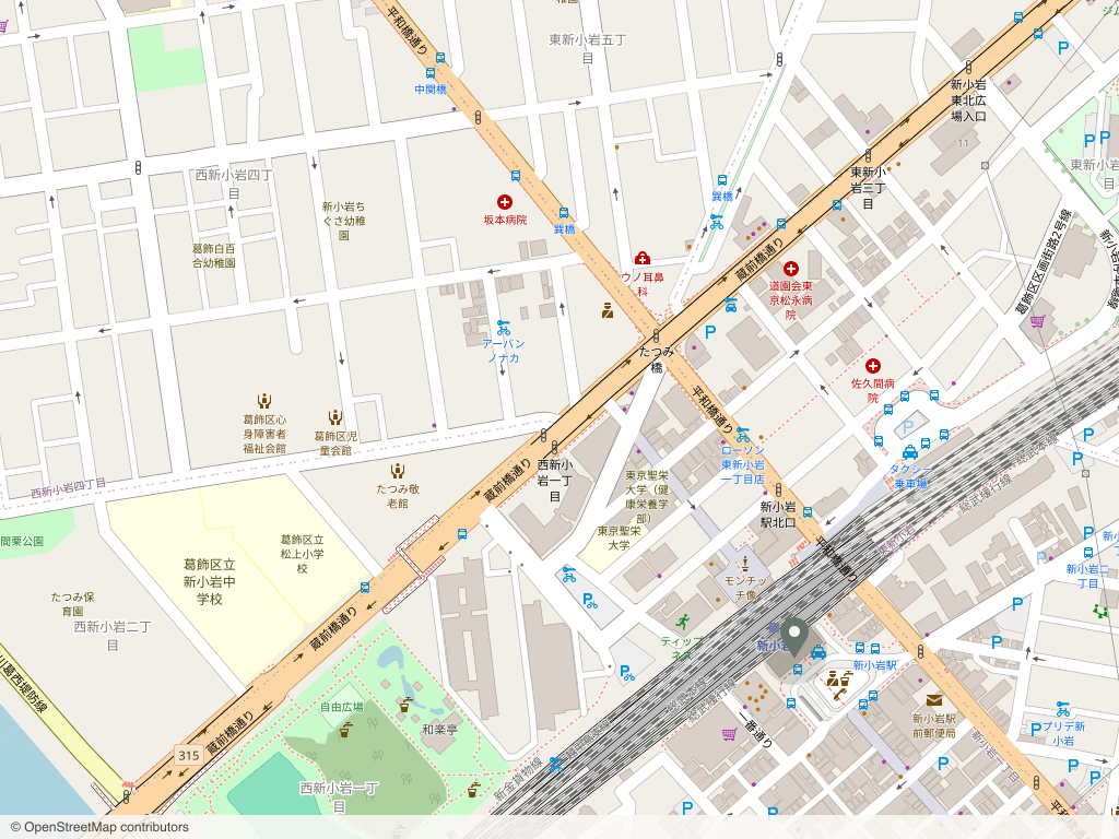iina 周辺の地図。新小岩駅北口から徒歩2分、東京都葛飾区東新小岩1-3-2